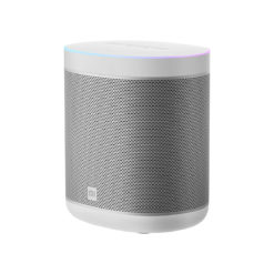 Mi Smart Speaker